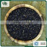 Paraguayan Sesame Seeds Manufacturers thumbnail-5