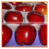 Red Delicious Apple thumbnail-1