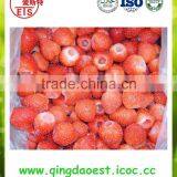 Best Quality Chinese Bulk Fresh Frozen IQF Strawberry thumbnail-1