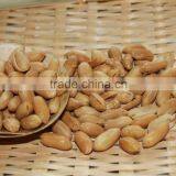 Chinese Snacks 125g/150g/227g Canned Salty Peanut