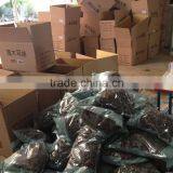 Strip Black Fungus Mushroom thumbnail-3