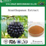 KOSHER Manufactory supply Acanthopanax Extract in good quality for health care