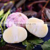 2016 New Crop Bulk Garlic With Competitive Price thumbnail-4