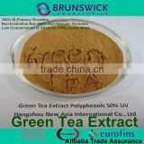Green Tea Extract,Polyphenols 20%-98%,EGCG 10%-95%, Catechins 10%-90%,100% ID,Low Contaminants of Aflatoxin,PAHs,Non-Irradiation