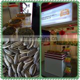 chinese high quality new crop sunflower seeds