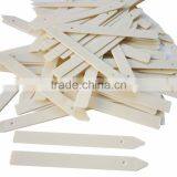 5 Inch Plastic Plant Marker Gardening Tag thumbnail-4