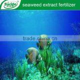 Seaweed Extract Fertilizer Prices thumbnail-1
