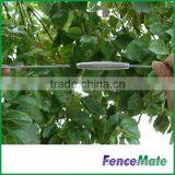 Hot Sale Vineyard Trellis thumbnail-4