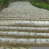 Recycle Plastic Mulch Film thumbnail-1