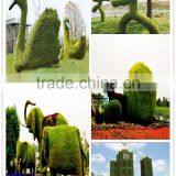 2016 New Design Artificial Green Sculpture for Garden Manufacturer thumbnail-5