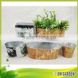 Classical Elegant Indoor Metal Herb Garden Planter Pots thumbnail-1