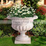 Importer Directory Plants for Large Planters VFP-N001 thumbnail-6