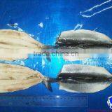 Fresh Herring Fillet Seafood thumbnail-1