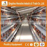 High Quality Cheap Poultry Cage Layer Chicken Used Chicken Cage thumbnail-6