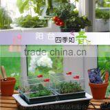 PP Plastic Type and Eco Friendly Electric Heat Propagator, Heated Germination Tray thumbnail-2