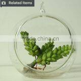 Hanging Glass Succulents Terrarium Mini Artificial Plants for Home Decoration thumbnail-5