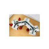 Modern Office Partition T3-001 thumbnail-1