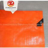 Plastic woven Polyethylene Tarps Pe Tarpaulin Plastic Sheet 60mm China Zhengbang