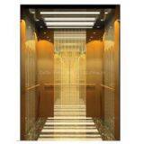 Delfar Economic and Beautiful Passenger Elevator