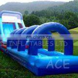 Jumbo Water Slide Inflatable