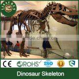 JLDF-0392 Dinosaur Fossil Bone of T-rex