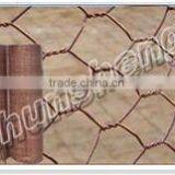 Hexagonal Netting