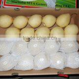 China Fresh Ya Pear for Export Best Quality thumbnail-2