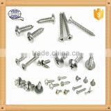 Galvanized Washer Self Tapping Screw