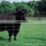 Field Fence Mesh thumbnail-1