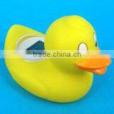 EN71 CE ROHS Approval Buckbath Thermometer