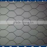 Pvc wire hexagonal wire mesh panel galvanized .stainless steel wire high quality factory supply