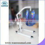 DG201 Battery-Powered Patient Lift thumbnail-1