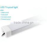 ex Proof Lighting Fixture Dailux-60w thumbnail-2