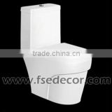 Porcelain WC Toilet(FSE-TL-A2336)