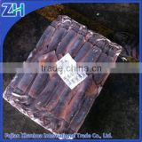 high quality frozen illex squid, Fujian factory price argen squid