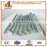 Electro Galvanized Diamond Point Hardened Steel Concrete Nails thumbnail-3