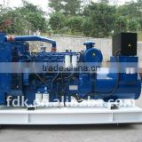 33KW Lovol diesel generator 1004G