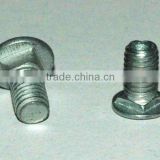Carriage Bolts Din 603