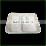 Environmental Disposable Paint Plastic Food Fruit Tray Liners Snack Tray