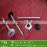 Steel Nail thumbnail-1