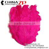 Leading Supplier Bulk Sale Cheap Dyed Hot Pink Curled Goose Feathers Pad for Girls Hair Accessories thumbnail-1