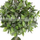 Indoor Artficial Decorative Topiary Bay Tree House Wooden Trunk thumbnail-3