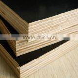 PHENOLIC POPLAR FILM FACED PLYWOOD FOR CONSTRUCTION thumbnail-4