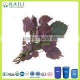 Plant Oil Perilla Seed Oil Rich i NALA Alpha Linolenic Acid