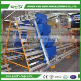 Hot Sale for China Egg Chicken Cage(ISO9001) for Poultry Farming thumbnail-3