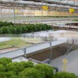 Korean Greenhouse thumbnail-6