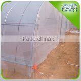 Hot Sale Cheap Poly Agriculture Potato Tunnel Greenhouse thumbnail-3