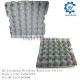 Waterproof Package 30 Pieces Paper Egg Tray thumbnail-1