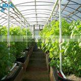 Blackout Vegetable Greenhouse With Steel Frame thumbnail-1