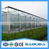 BaoLiDa Venlo Roof Glass Greenhouse Kit thumbnail-1